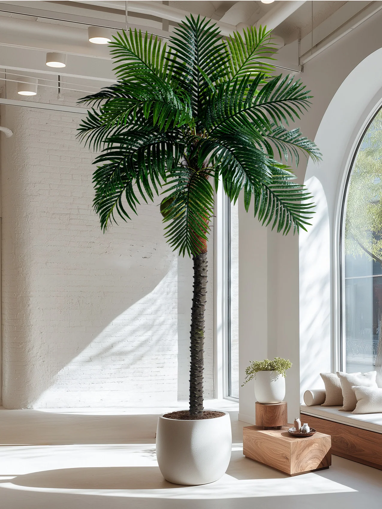 Coconut Hybrid Artificial Tree (Life-like Artificial) - Image 4