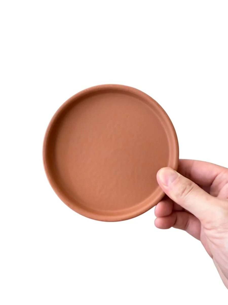 Coloured Trays - Image 4