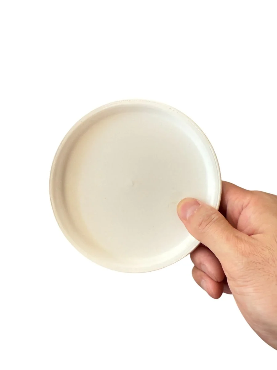 Coloured Trays - Image 7