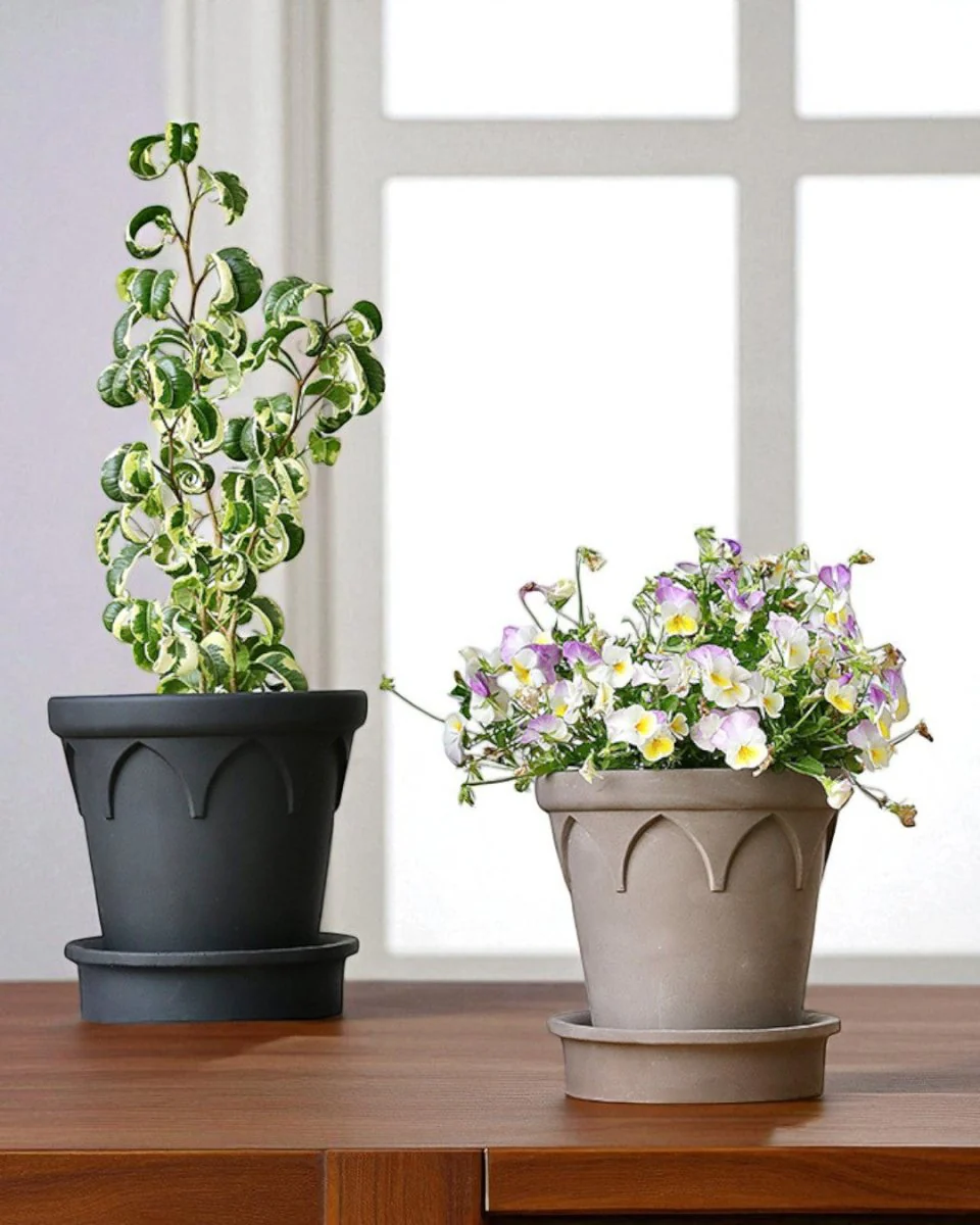 Crown Planter