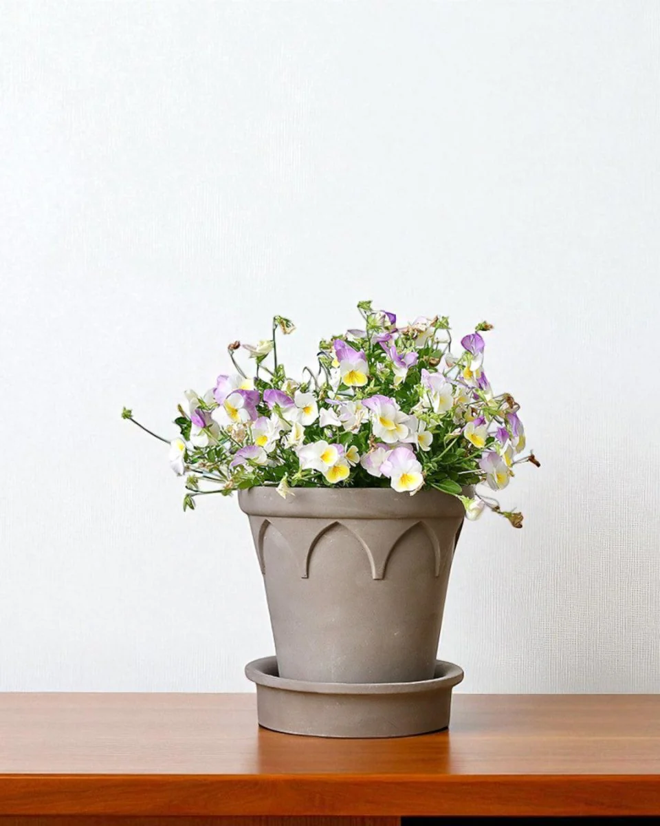 Crown Planter - Image 3