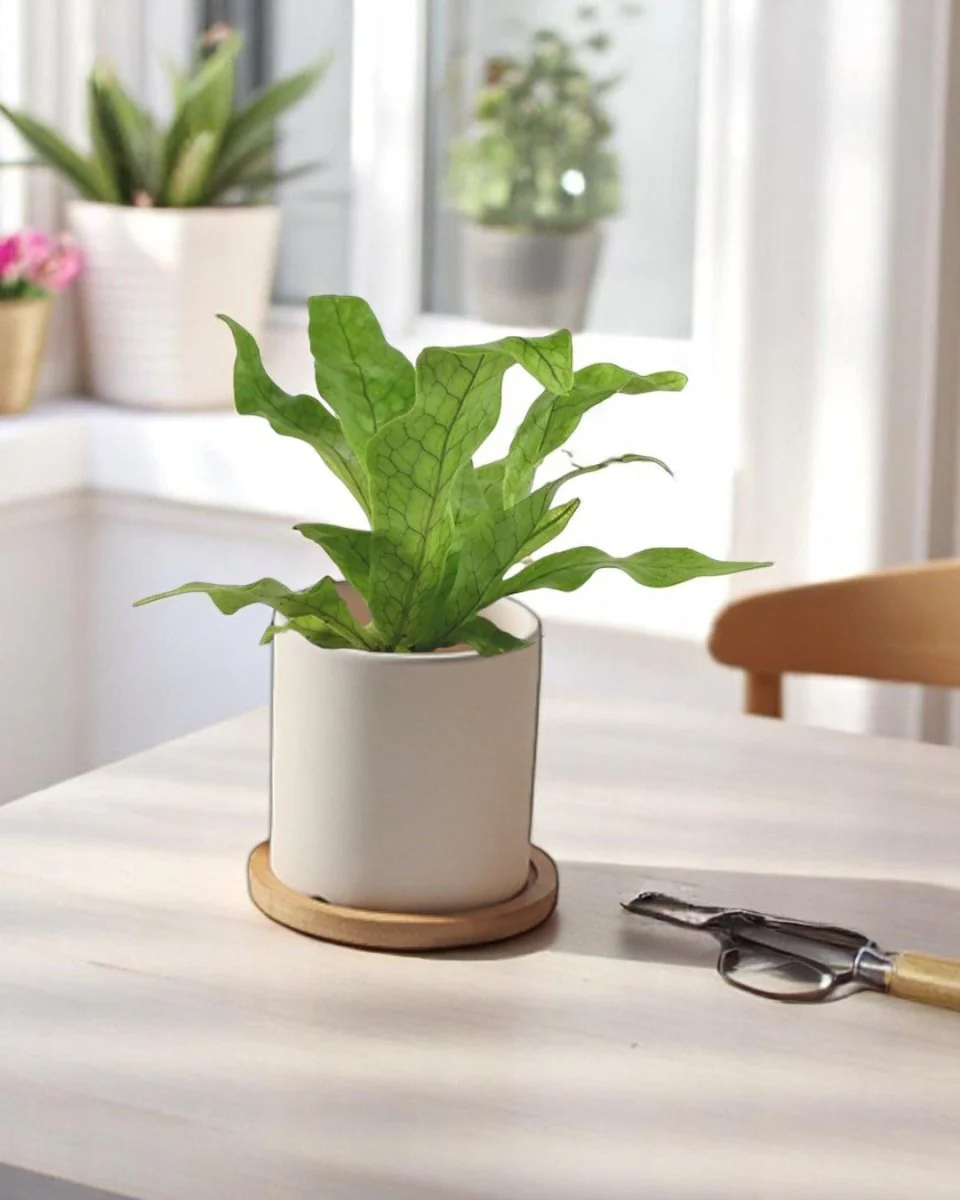 Cylinder Pot - XS