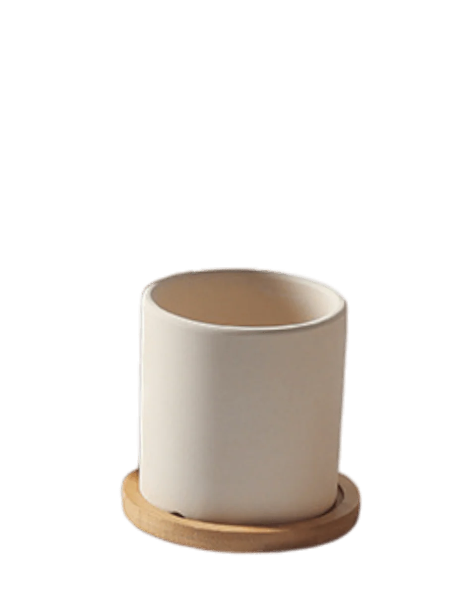Cylinder Pot - XS - Image 5