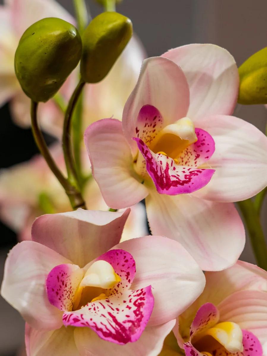 Cymbidium Flowers Arrangement (Life-like Artificial) - Image 4