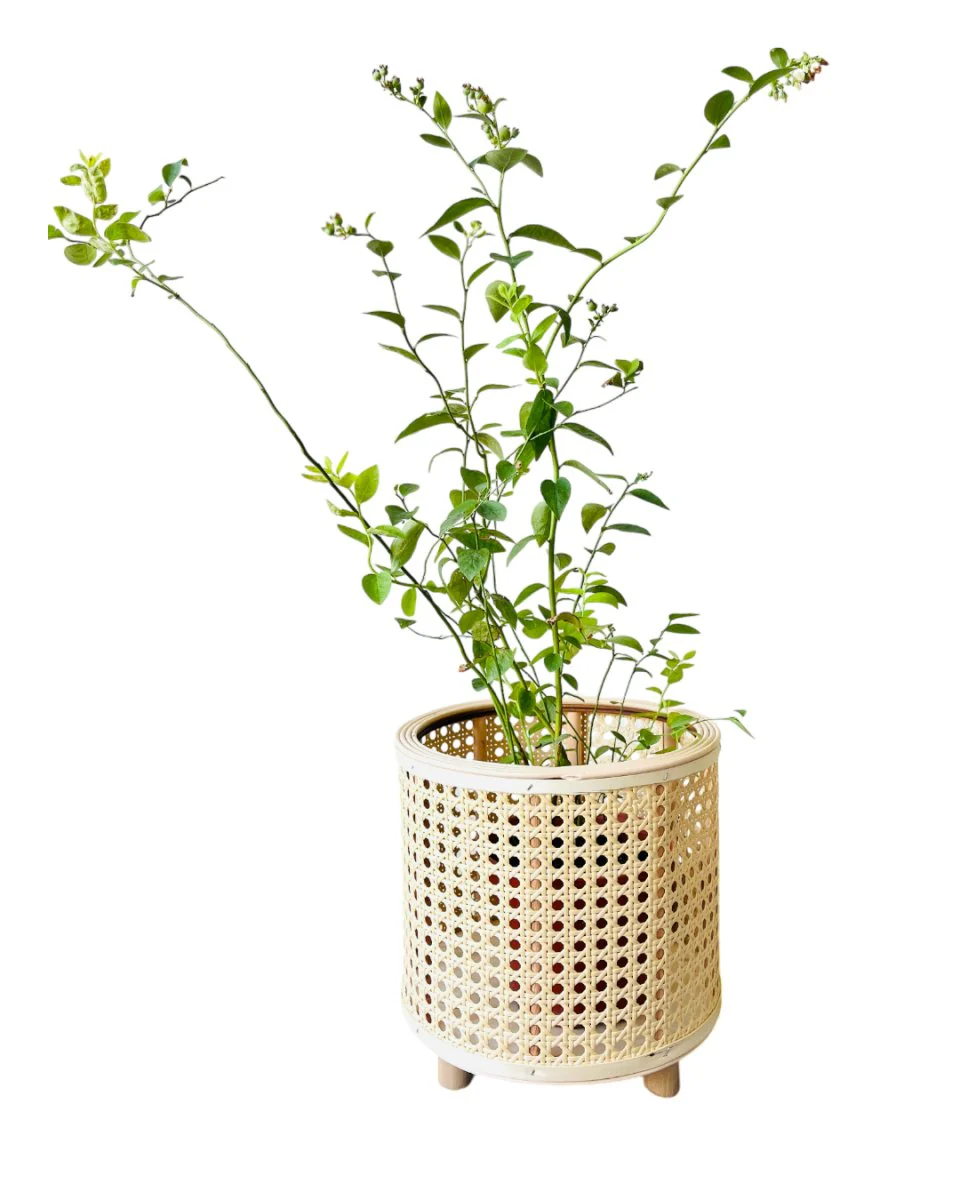 Daphne Basket - Image 4