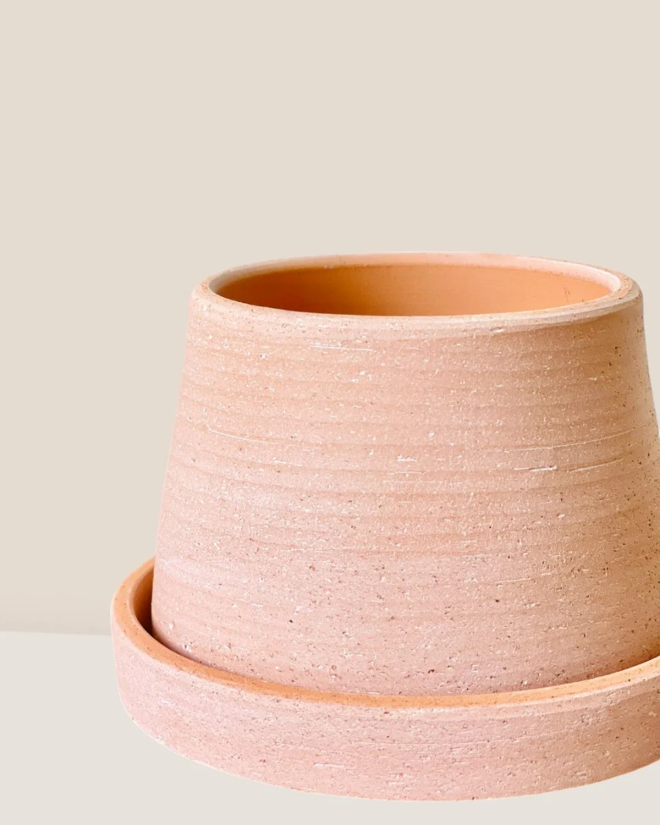 Dara Terracotta Pot - Image 3