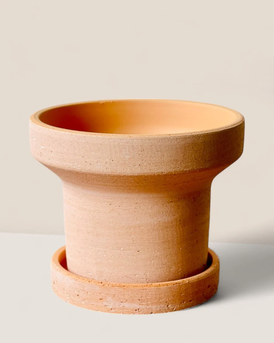 Dara Terracotta Pot - Image 4