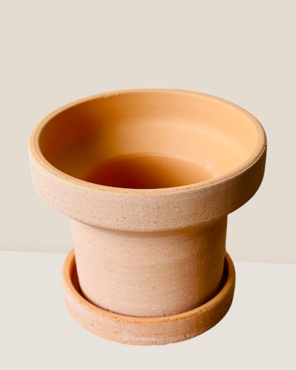 Dara Terracotta Pot - Image 7