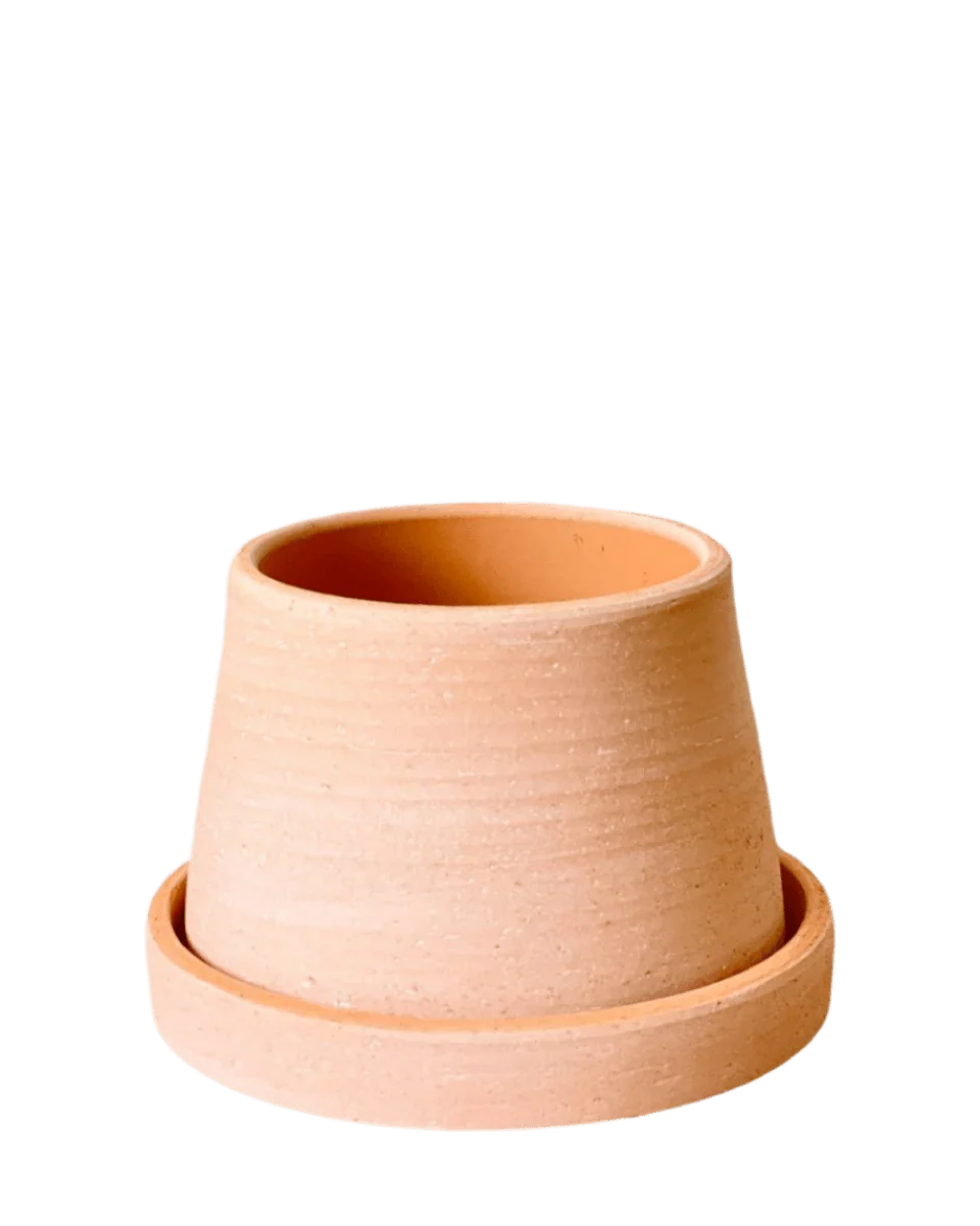 Dara Terracotta Pot - Image 8