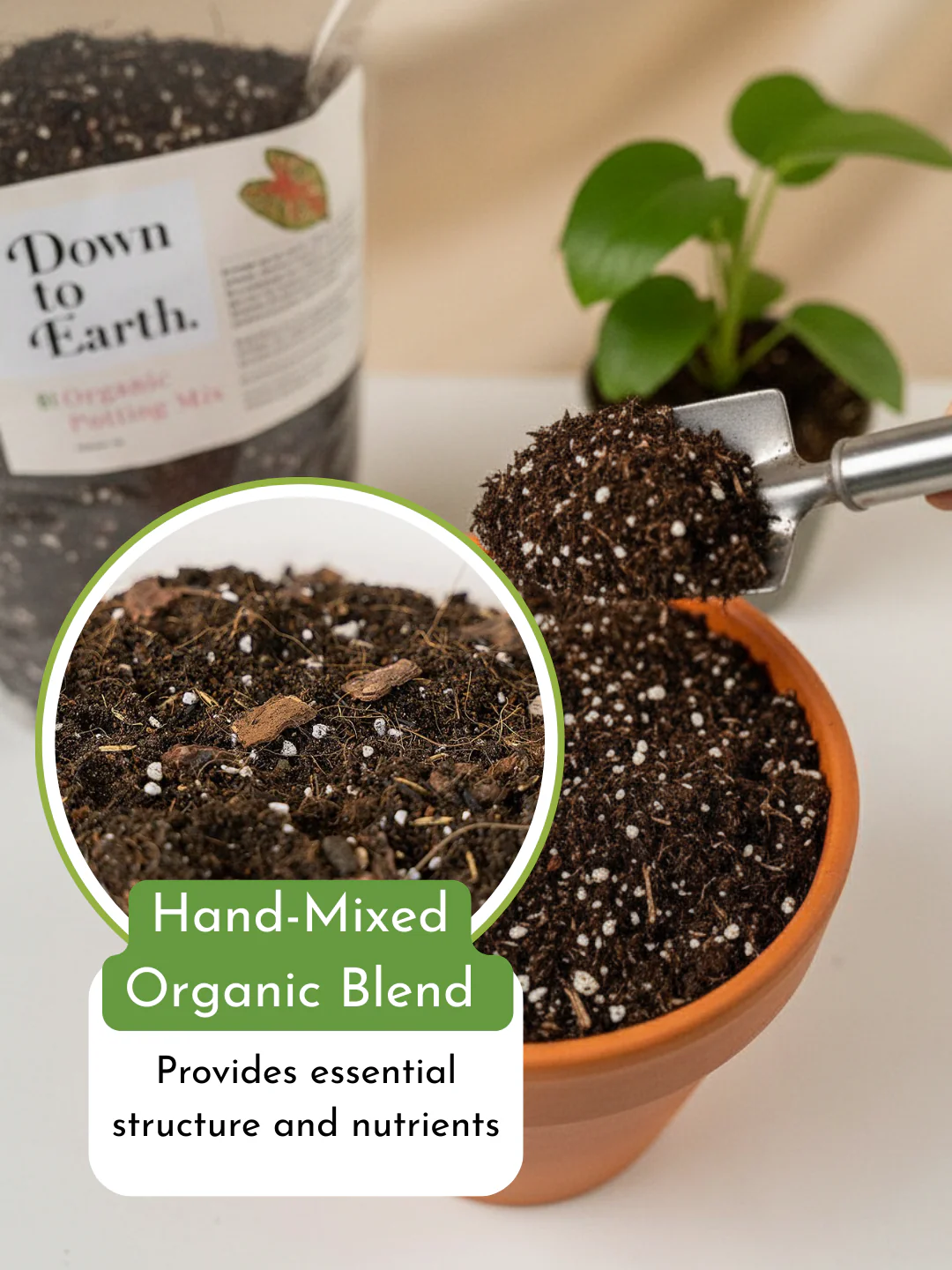 Down To Earth. 01 Organic Potting Mix - Image 3