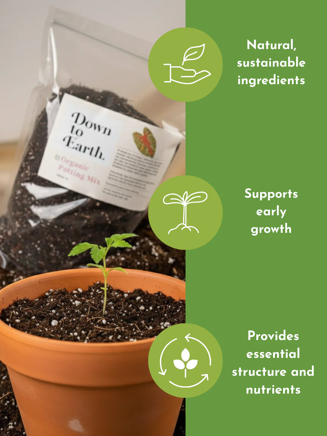 Down To Earth. 01 Organic Potting Mix - Image 4