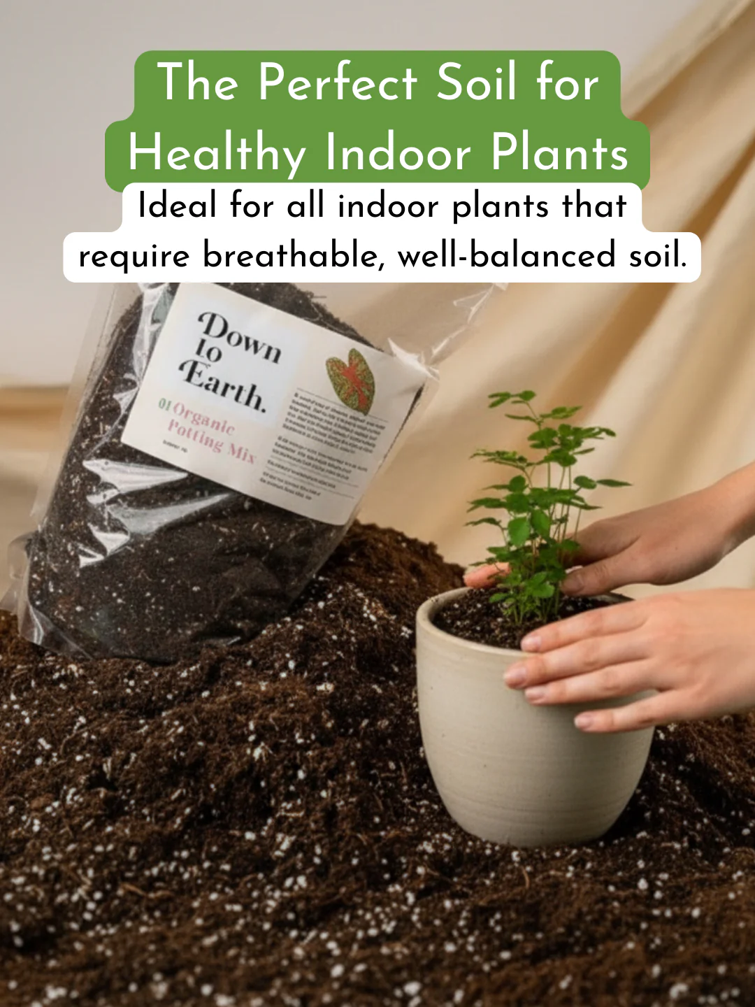 Down To Earth. 01 Organic Potting Mix - Image 5