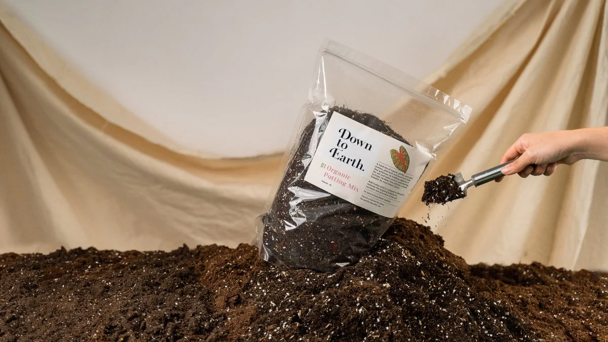 Down To Earth. 01 Organic Potting Mix - Image 9