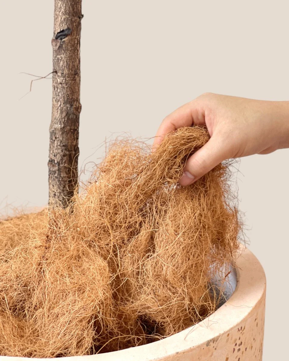 Down to Earth. 07 Coco Coir - Image 3