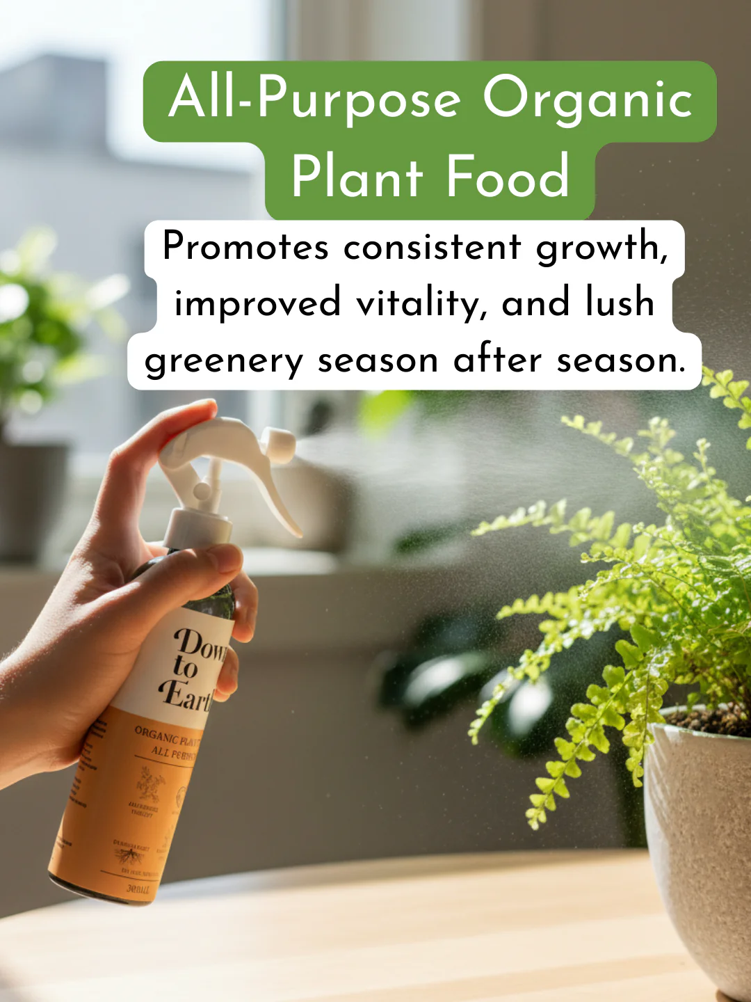 Down To Earth. All Purpose Plant Food - Image 3