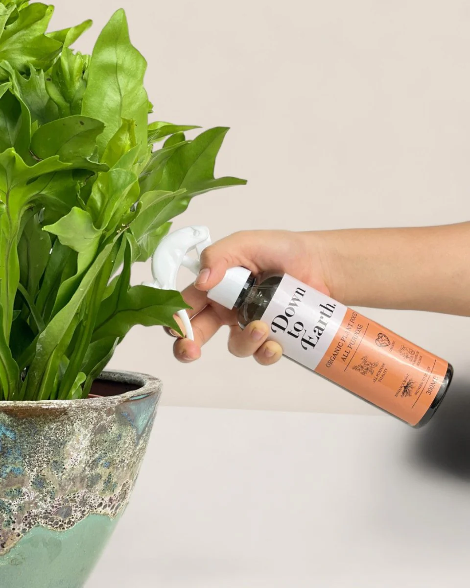 Down To Earth. All Purpose Plant Food - Image 8