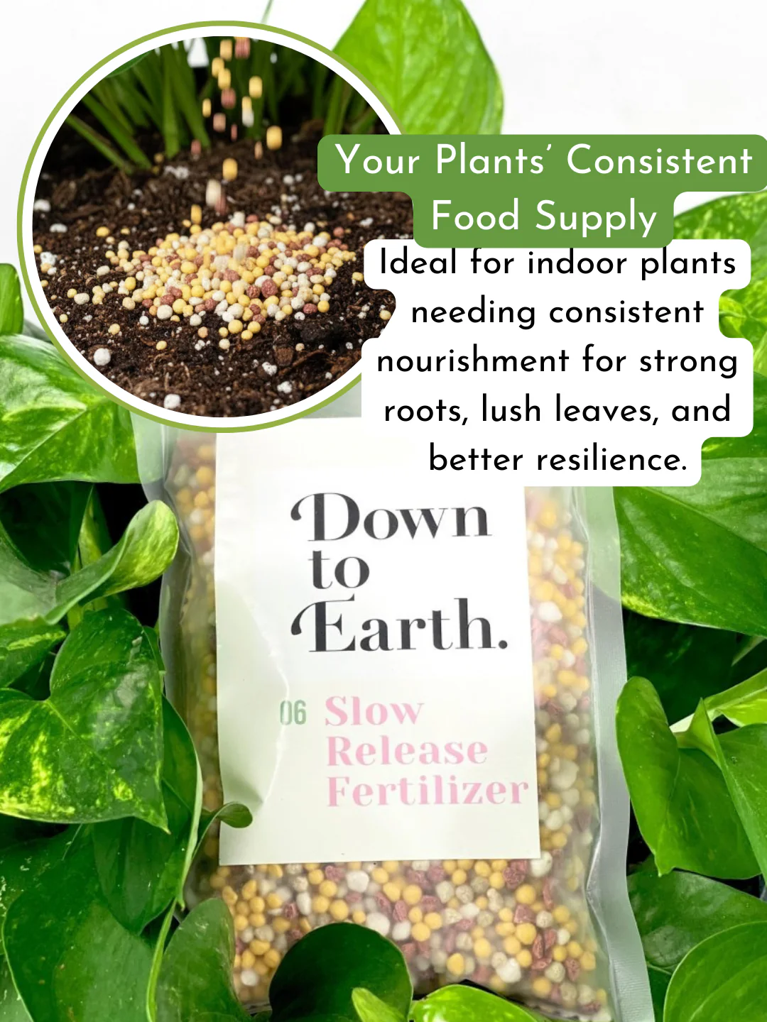 Down To Earth. 06 Slow Release Fertilizer - Image 4