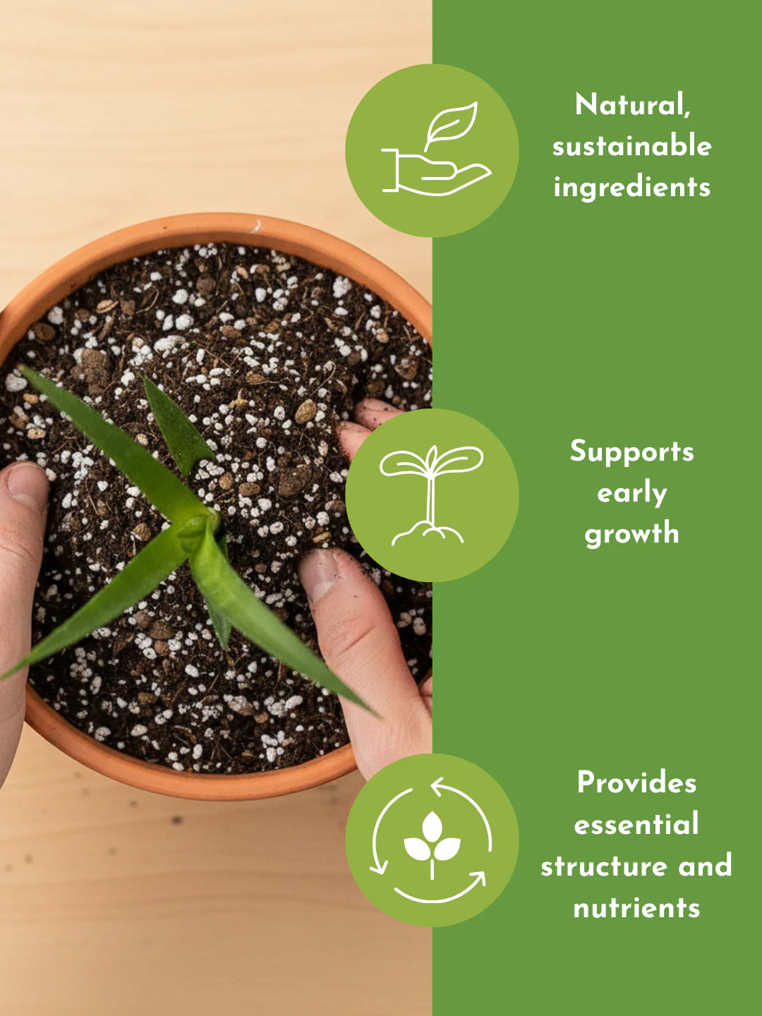 Down To Earth. 02 Organic Cacti and Succulent Potting Mix - Image 3