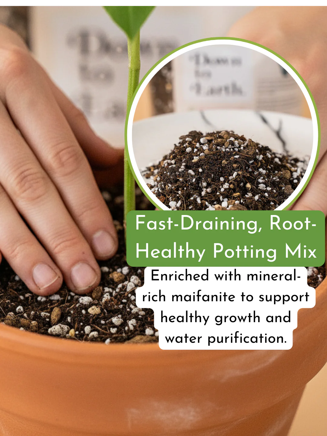 Down To Earth. 02 Organic Cacti and Succulent Potting Mix - Image 4
