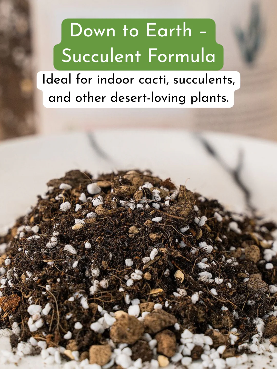 Down To Earth. 02 Organic Cacti and Succulent Potting Mix - Image 5