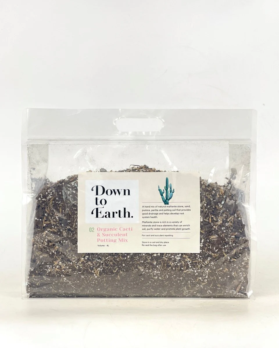Down To Earth. 02 Organic Cacti and Succulent Potting Mix - Image 8