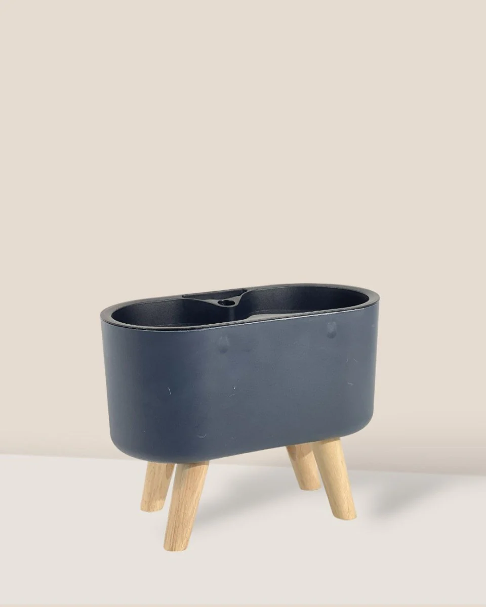 Duo Self Watering Pot with Stand - Image 4