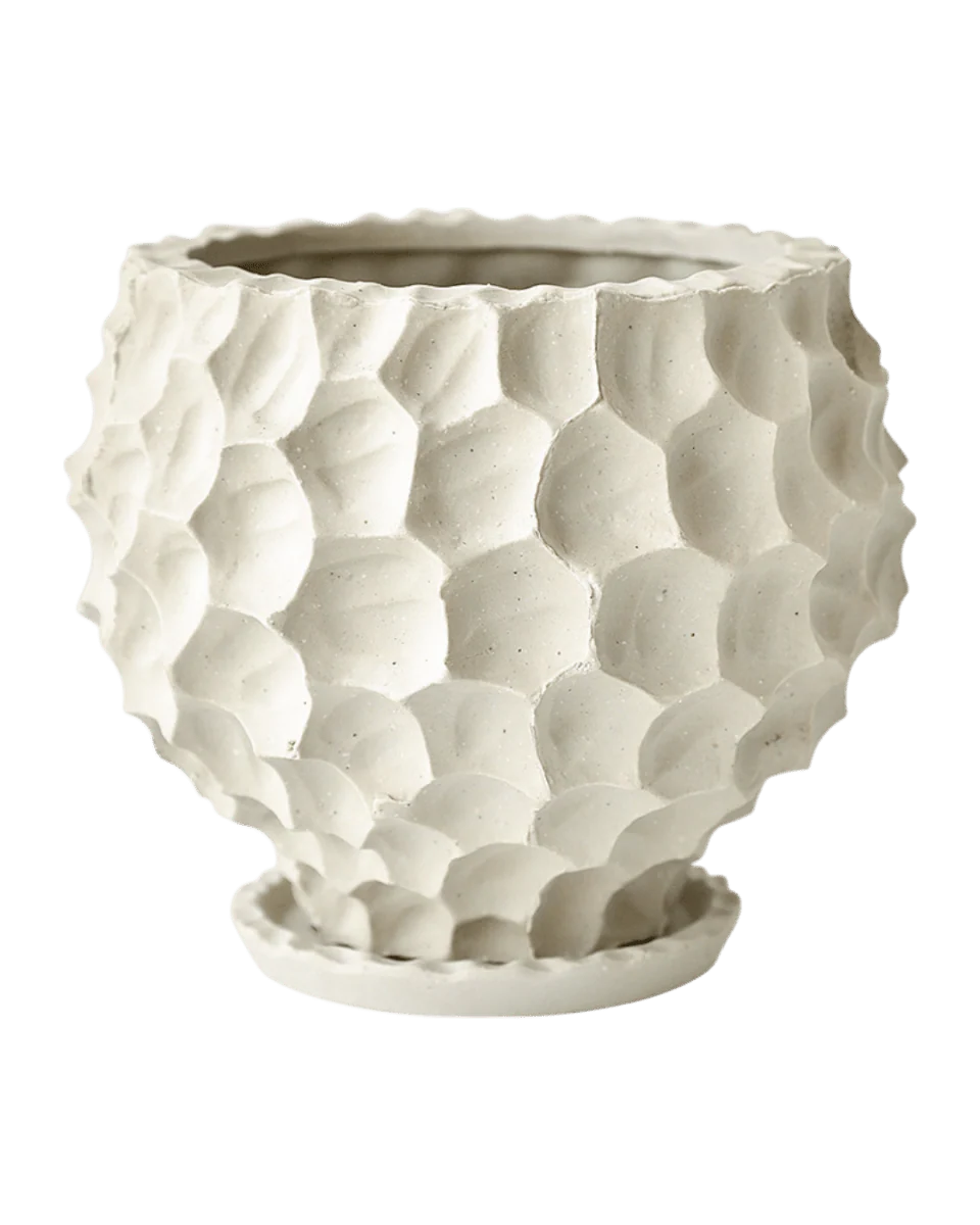 Durian Planter - Image 3