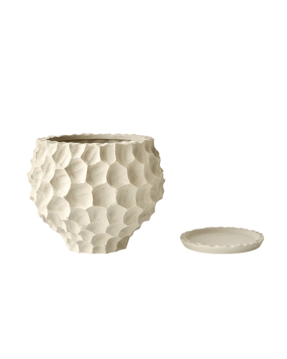 Durian Planter - Image 5