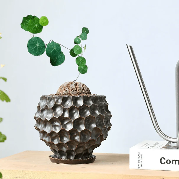 Durian Planter - Image 7