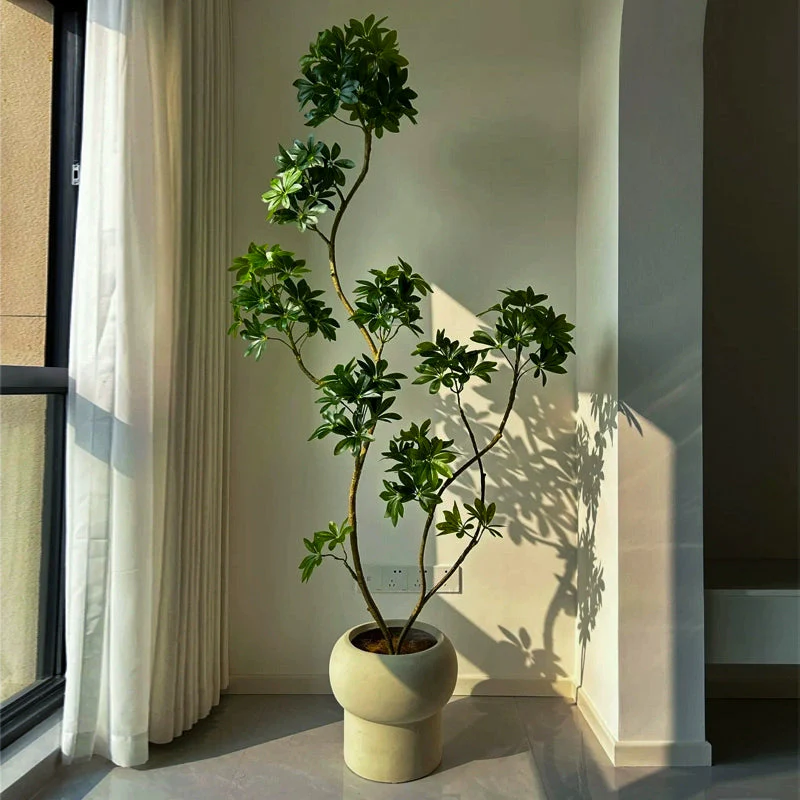 Dwarf Umbrella Tree (Life-like Artificial) - Image 4