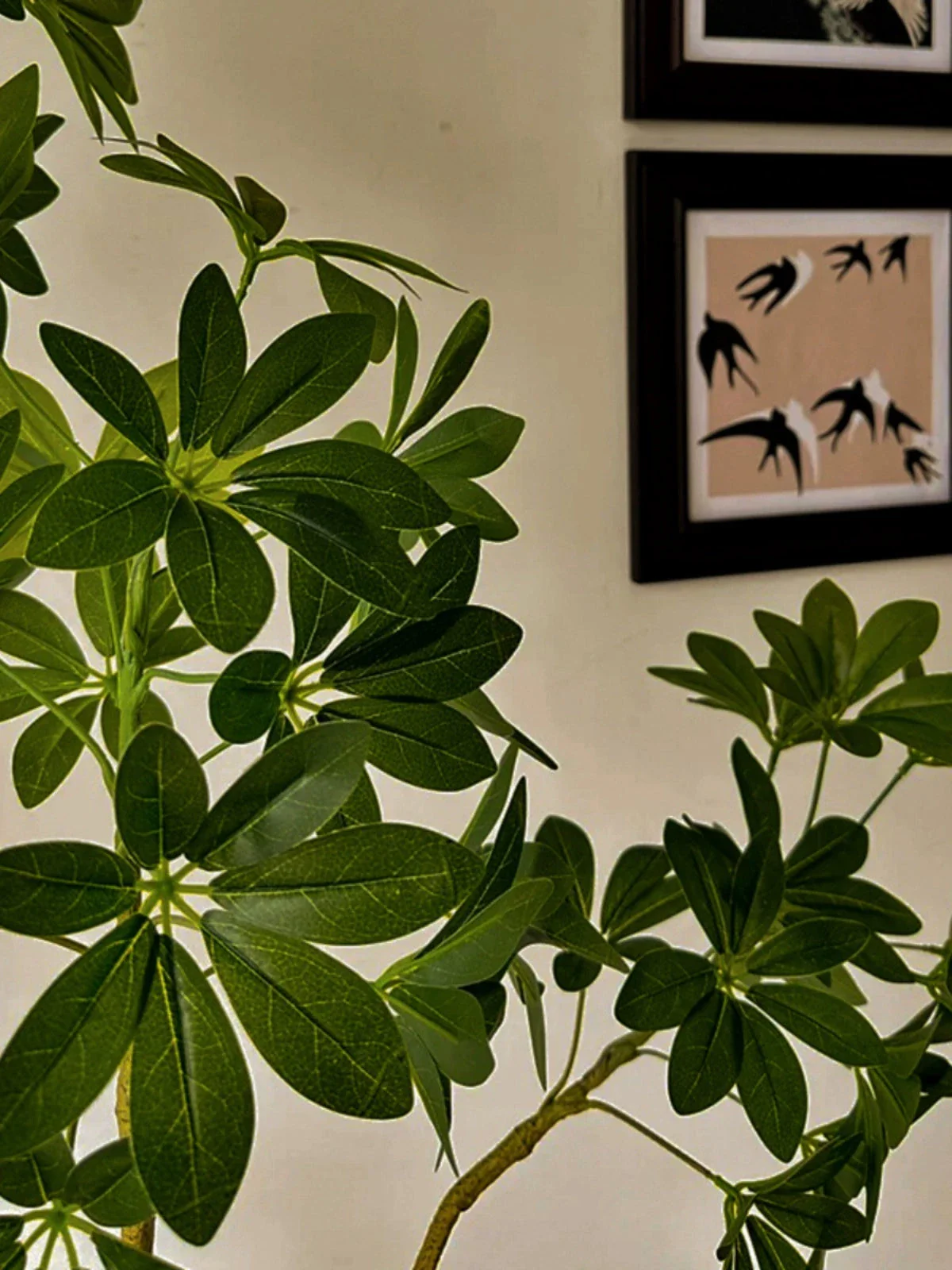 Dwarf Umbrella Tree (Life-like Artificial) - Image 6