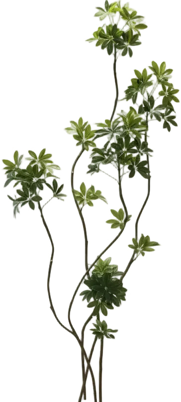 Dwarf Umbrella Tree (Life-like Artificial) - Image 9