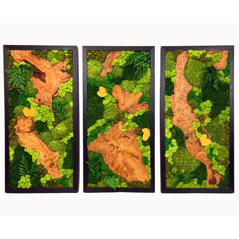 EARTH Frame - Preserved Plants: MOSS. - Image 4
