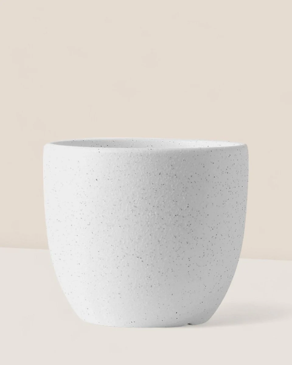 Egg Pot Small