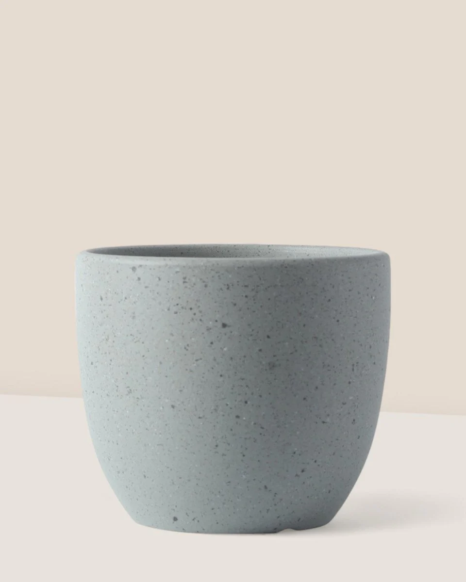 Egg Pot Small - Image 4