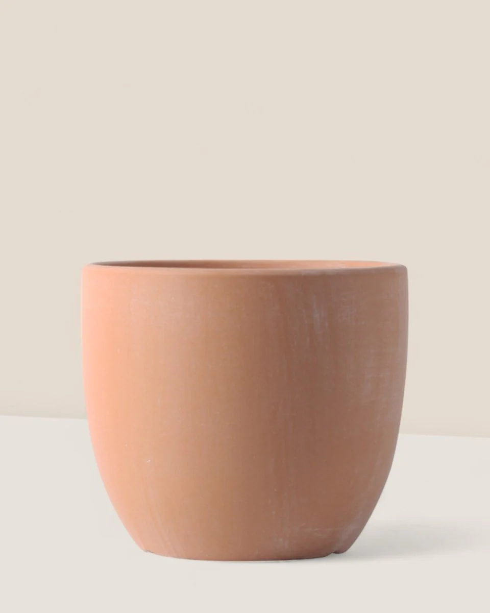 Egg Pot Small - Image 5