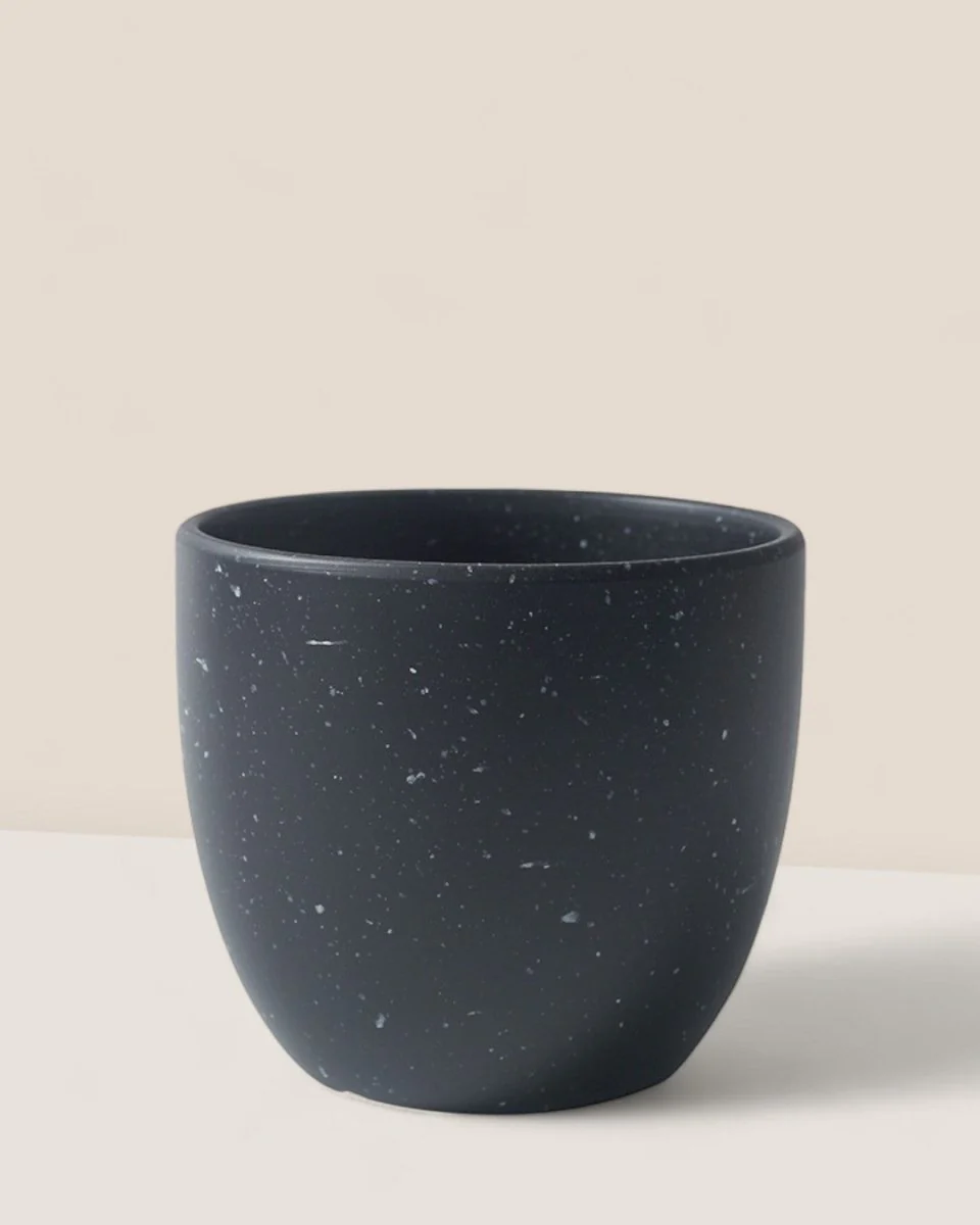 Egg Pot Small - Image 6