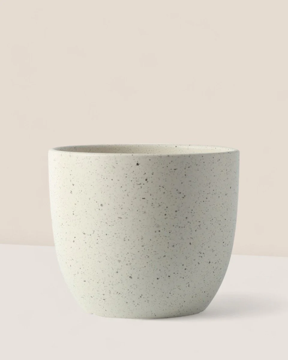 Egg Pot Small - Image 7