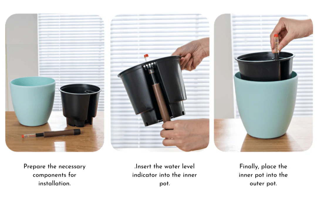 Egg Stoneblast - HydroEase Pot - Image 3