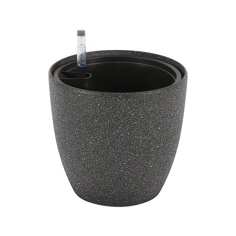 Egg Stoneblast - HydroEase Pot - Image 6