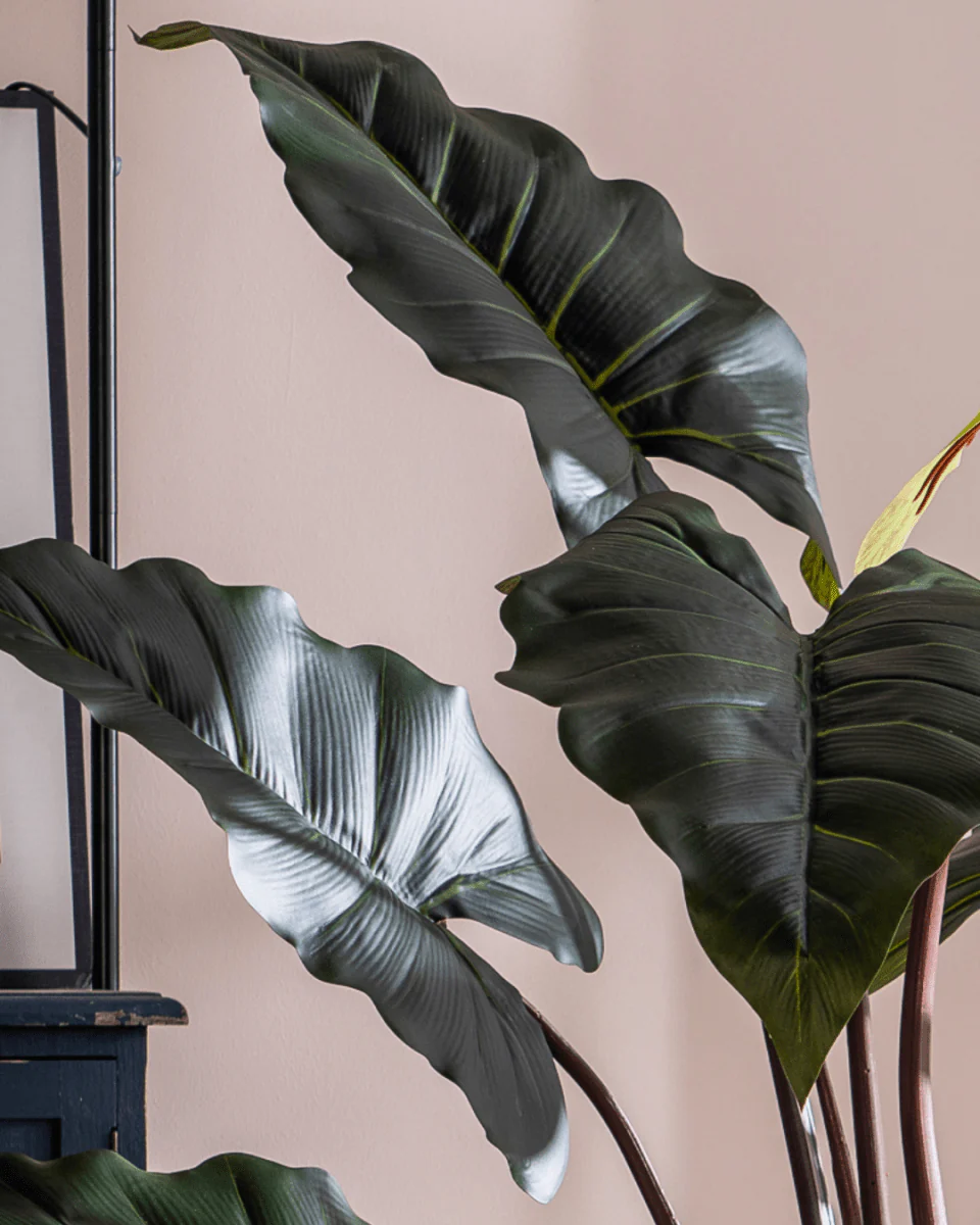 Elephant Ears Plant (Life-life Artificial) - Image 2