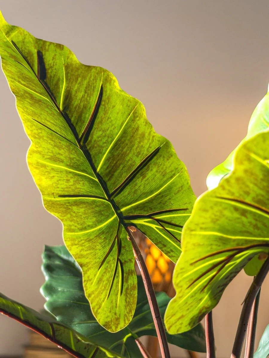 Elephant Ears Plant (Life-life Artificial) - Image 3
