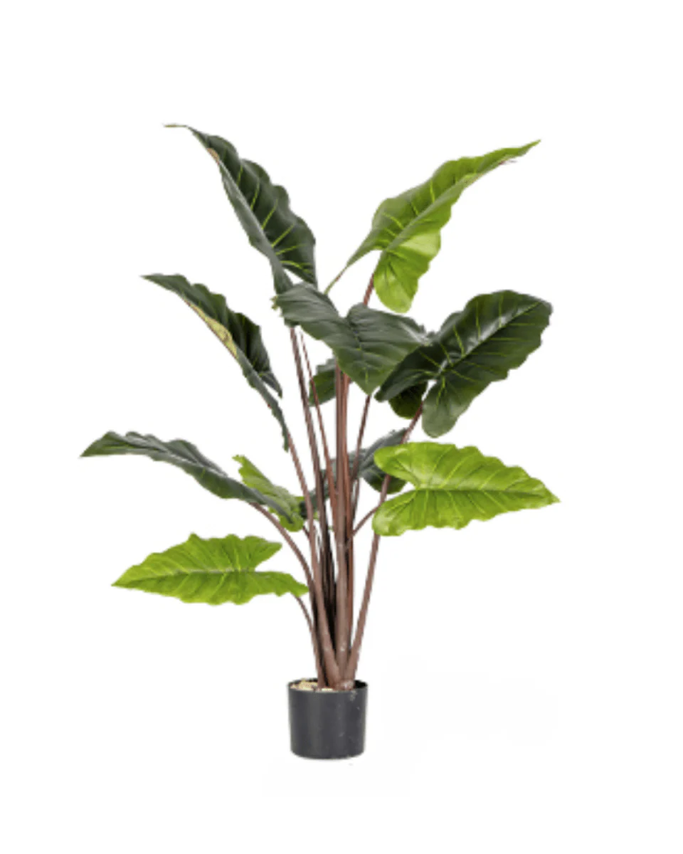 Elephant Ears Plant (Life-life Artificial) - Image 5