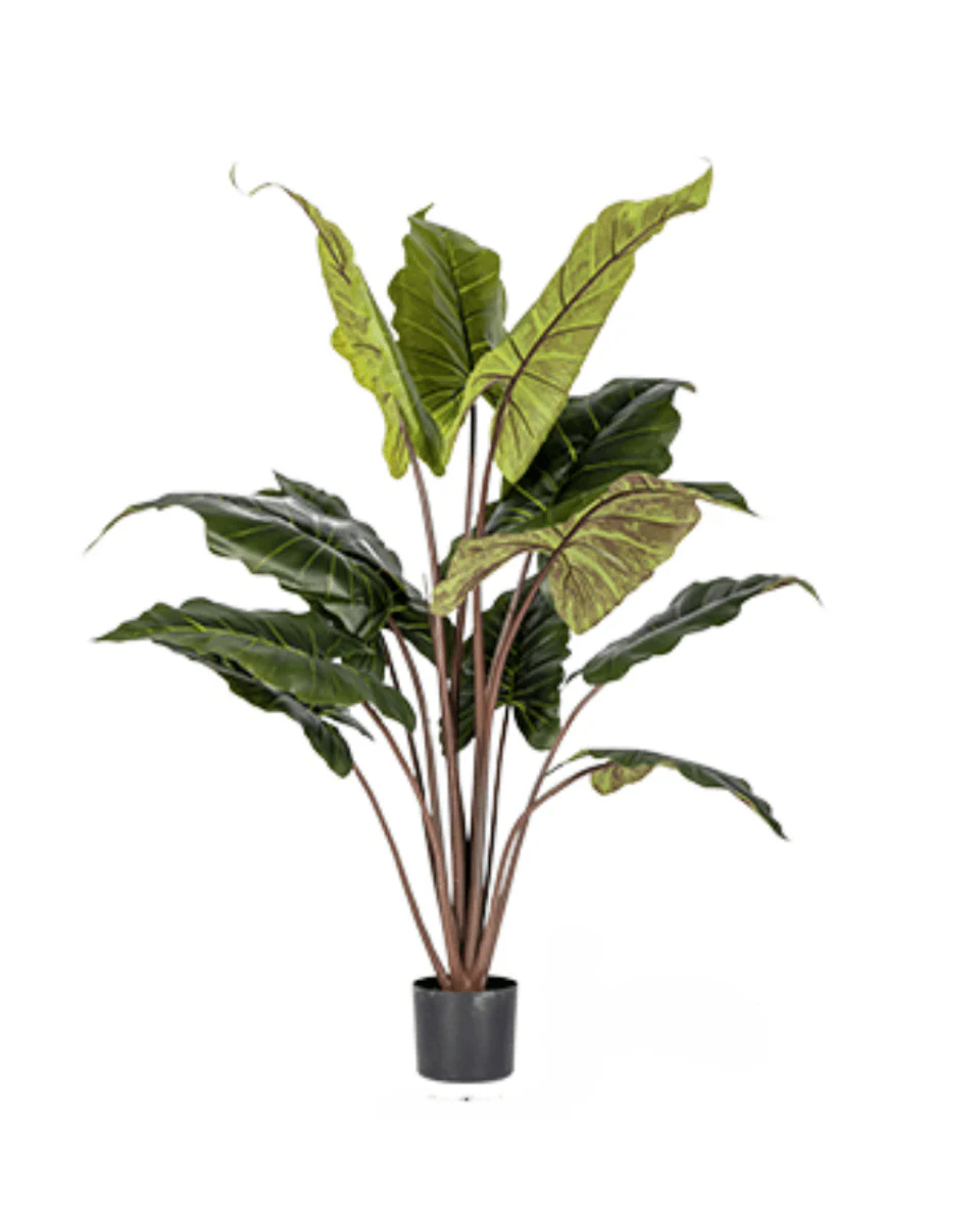 Elephant Ears Plant (Life-life Artificial) - Image 6