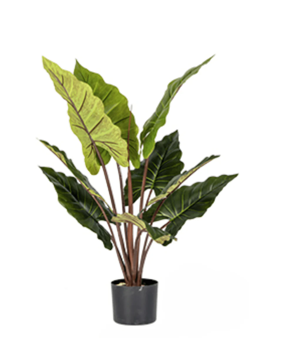 Elephant Ears Plant (Life-life Artificial) - Image 7