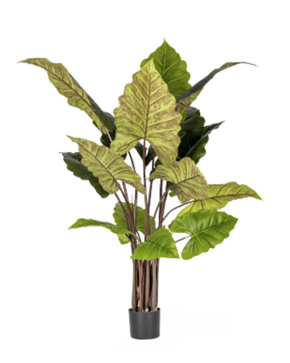 Elephant Ears Plant (Life-life Artificial) - Image 8