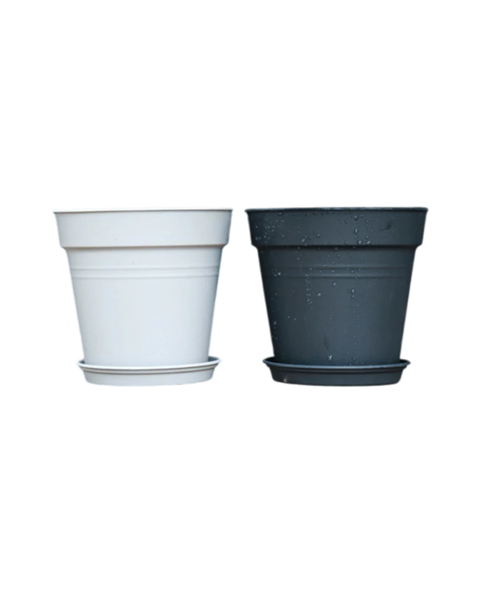 Essential Plastic Pot - Medium - Image 2