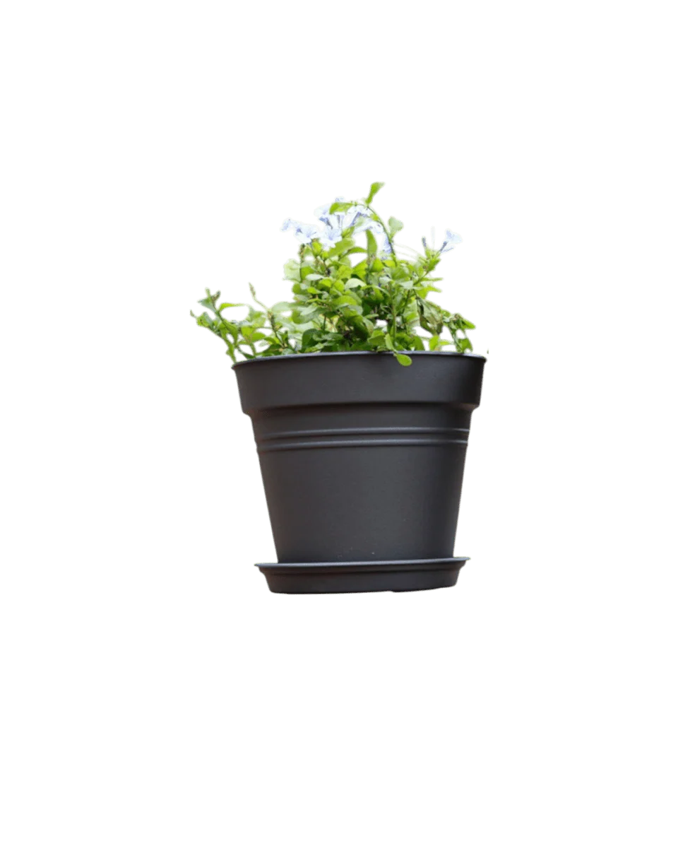 Essential Plastic Pot - Medium - Image 5