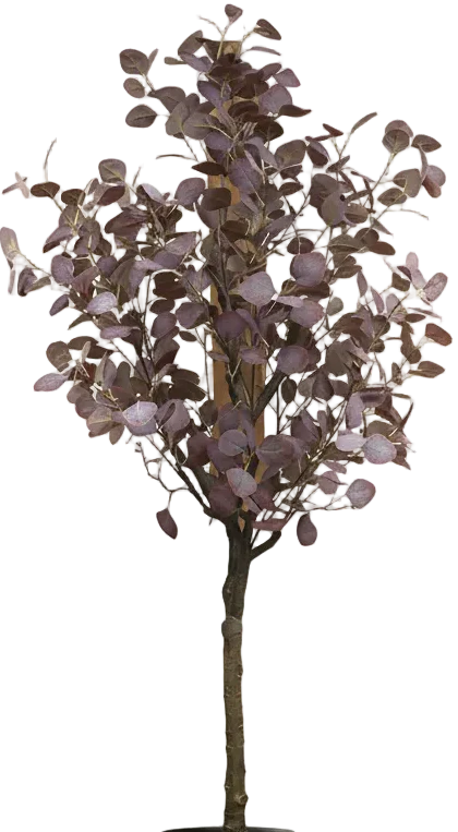Eucalyptus (Life-like Artificial) - Image 7