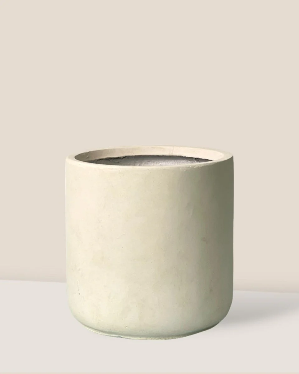 Elysia XL